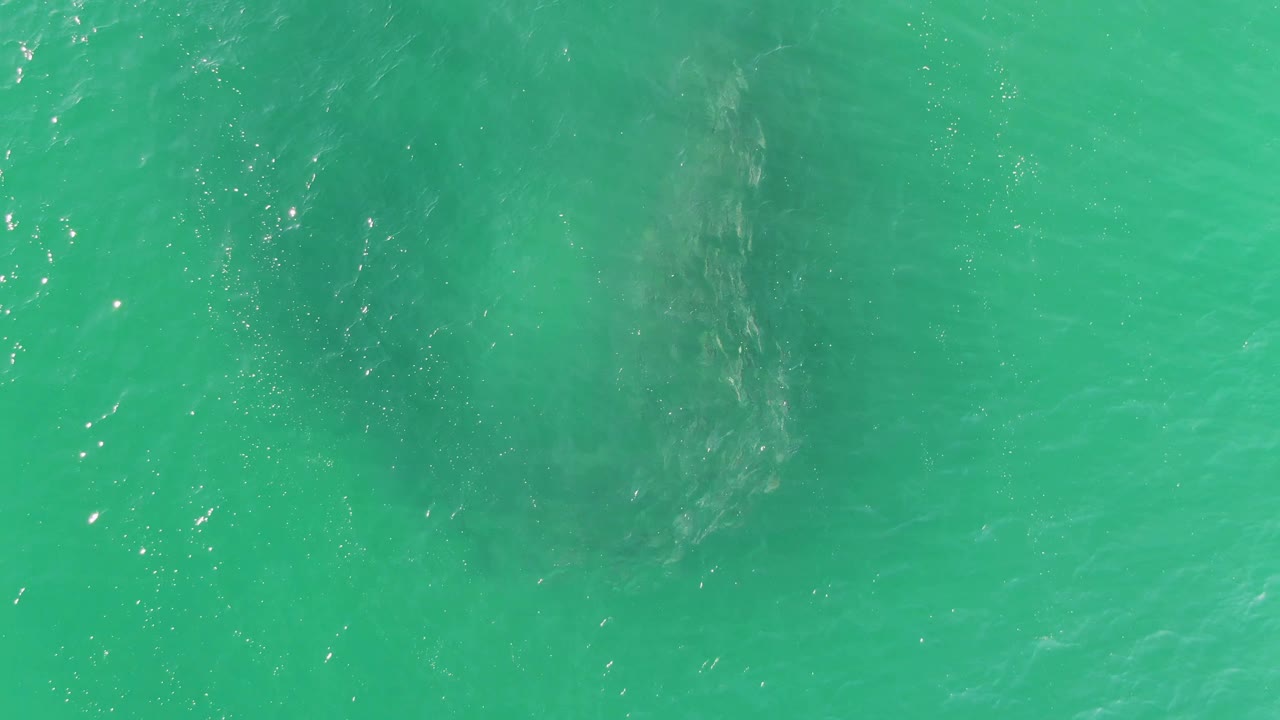 Overhead view of Buzzards Beach water with the darker vortex shape more centered under the rippled turquoise surface and no visible people.