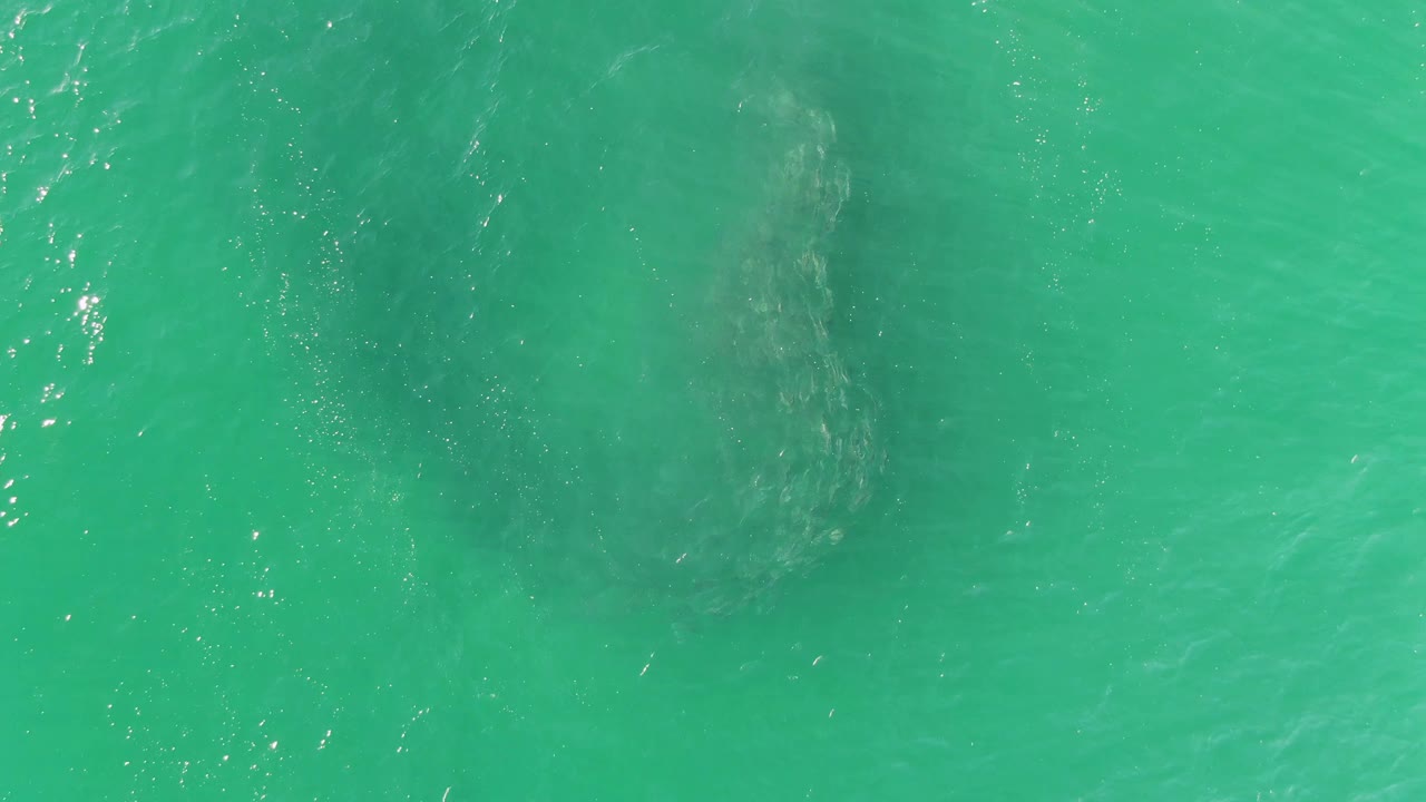 Buzzards Beach ocean surface with a shadowy rotating patch under green-blue water, brighter reflections near the upper right, and no visible people.
