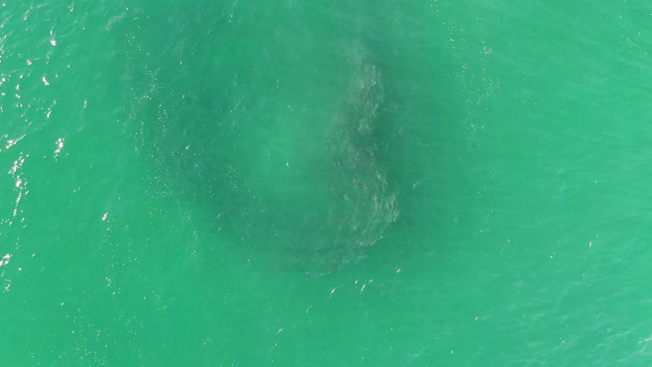 Darker underwater swirl beneath a rippled turquoise ocean surface.