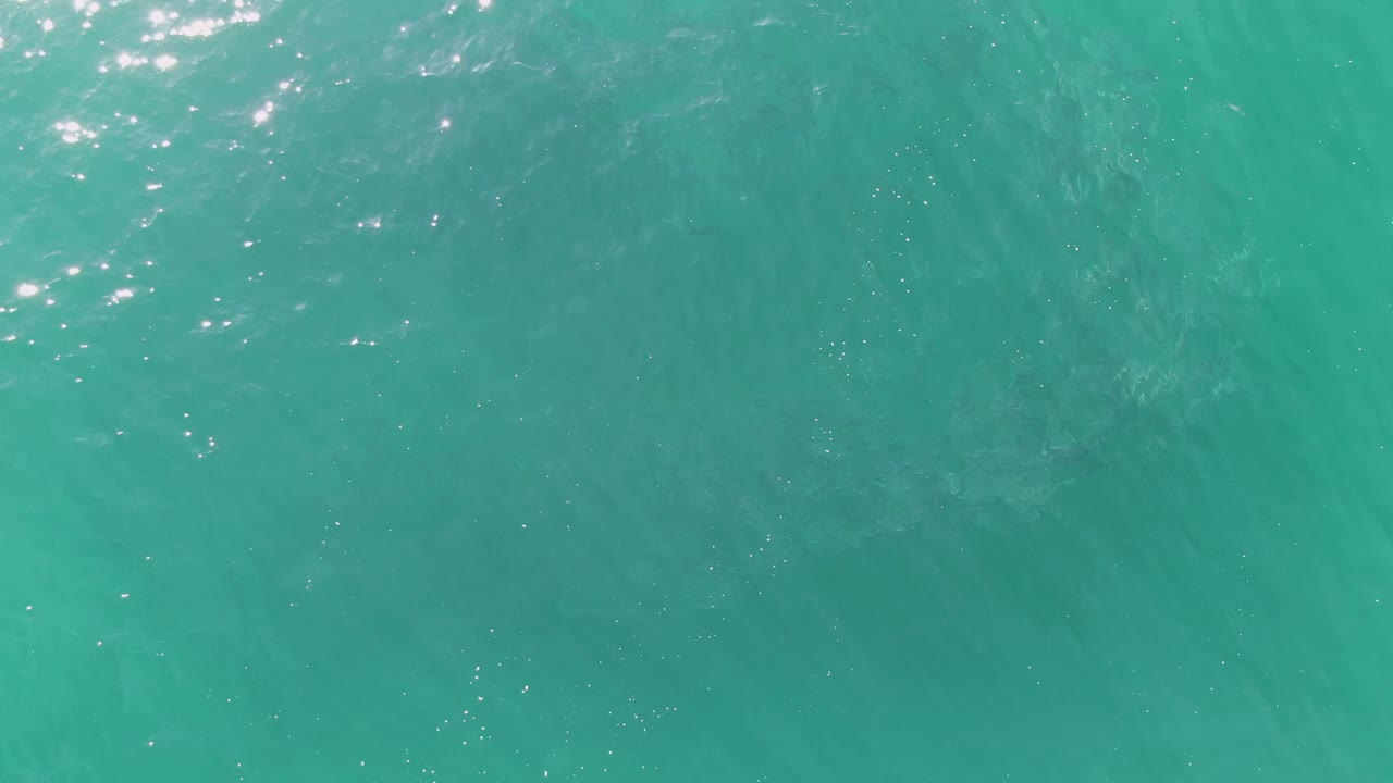 Turquoise ocean surface with soft ripples and sun sparkles.