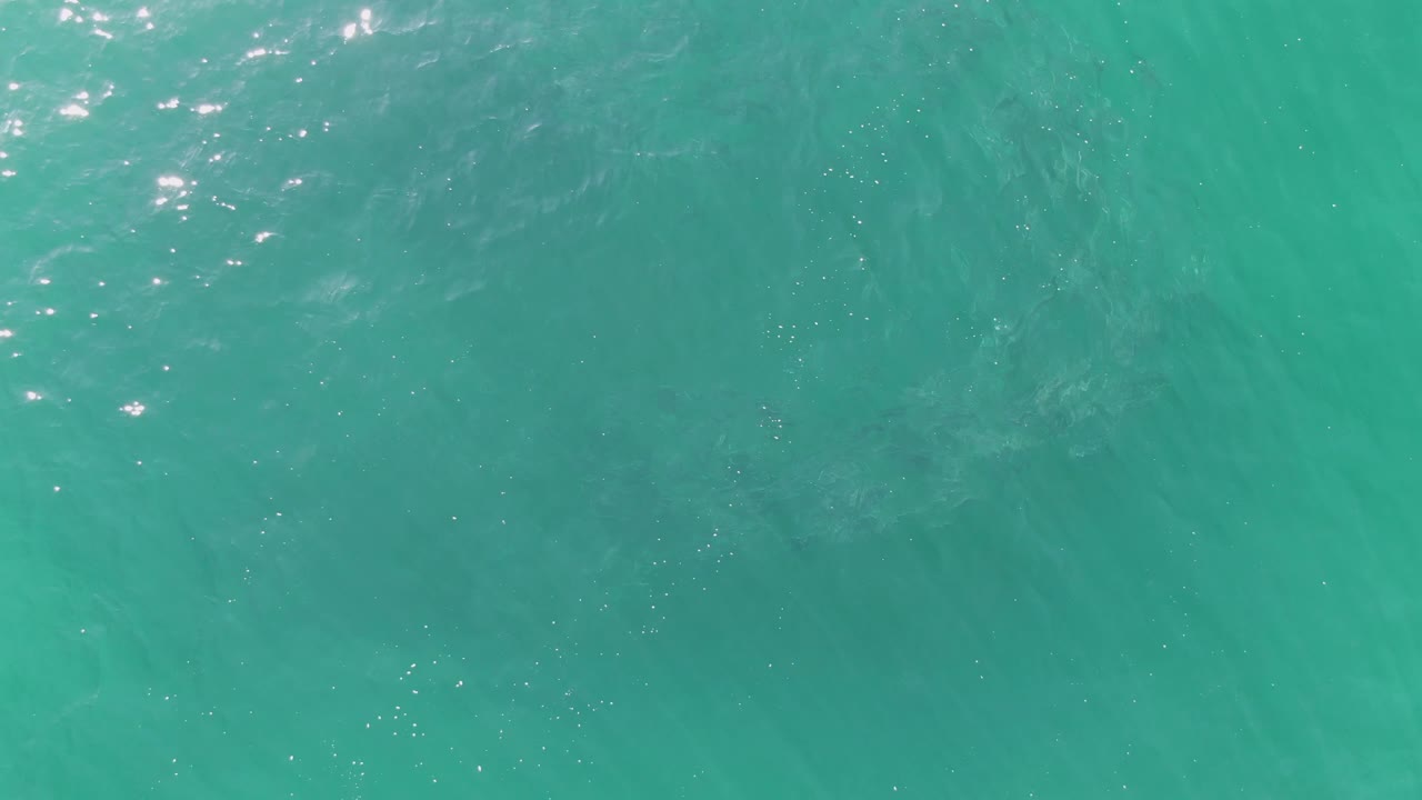 Second frame shows clear blue-green ocean water at Buzzards Beach with small shifting ripples, scattered white highlights, and no visible people.