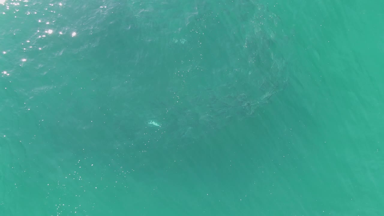 Fourth frame shows shallow turquoise water at Buzzards Beach with faint diagonal wave streaks, small sparkle patches, and no visible people.