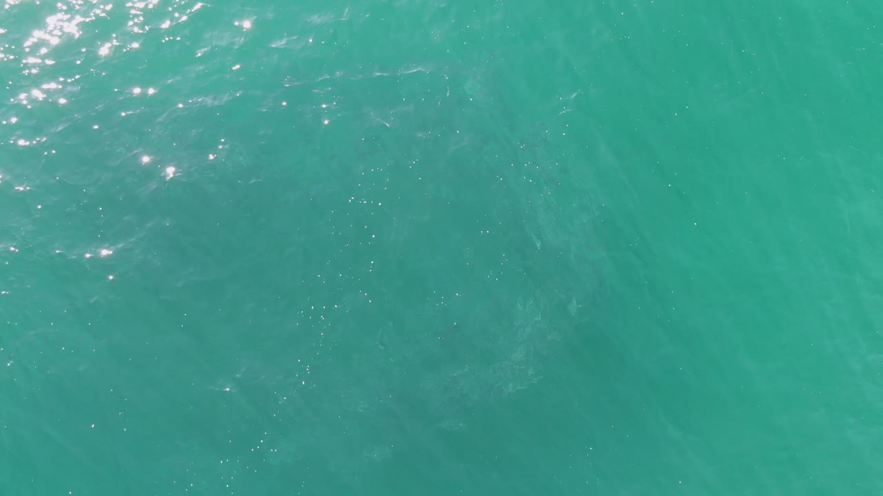 Buzzards Beach aerial-style view of clear turquoise ocean, where a large faint marine animal shape is visible under the rippled surface with no visible people.
