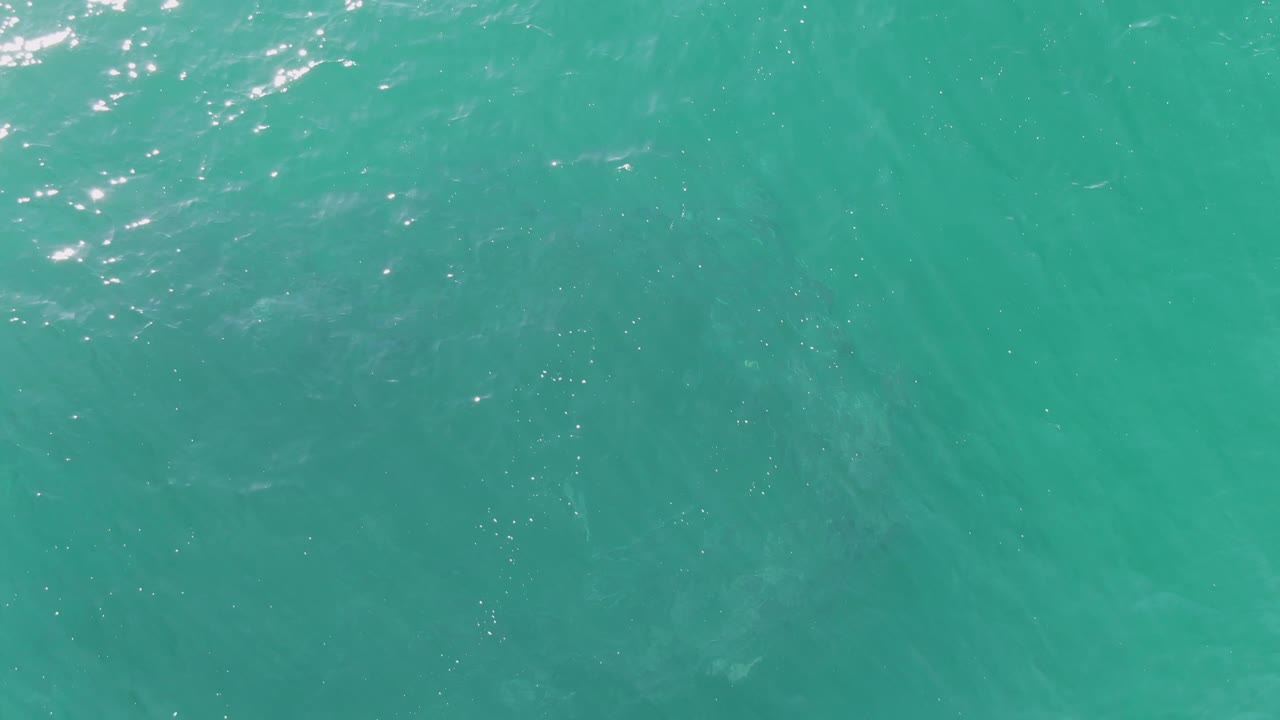 Overhead view at Buzzards Beach showing textured turquoise sea surface and a dim submerged marine animal shape, with no shoreline, boats, or visible people.