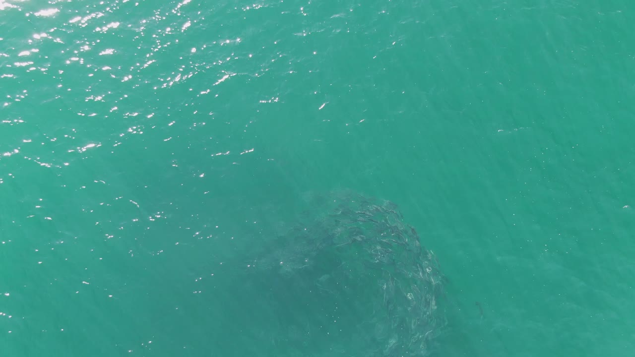 At Buzzards Beach in Baja California Sur, the bait ball appears nearer the lower center of the turquoise overhead view as small white highlights scatter across the surface, with no visible people.