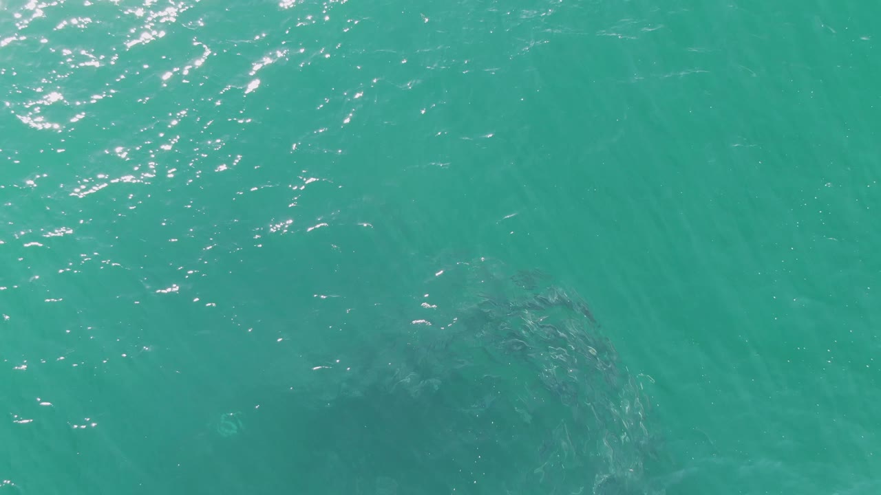 At Buzzards Beach in Baja California Sur, a darker fish cluster is visible in the lower right portion of the turquoise water while sunlight glints across the upper frame, with no visible people.