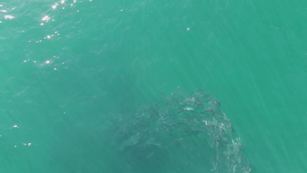 At Buzzards Beach in Baja California Sur, a circular fish formation sits toward the lower right beneath rippled turquoise sea surface, with no visible people.