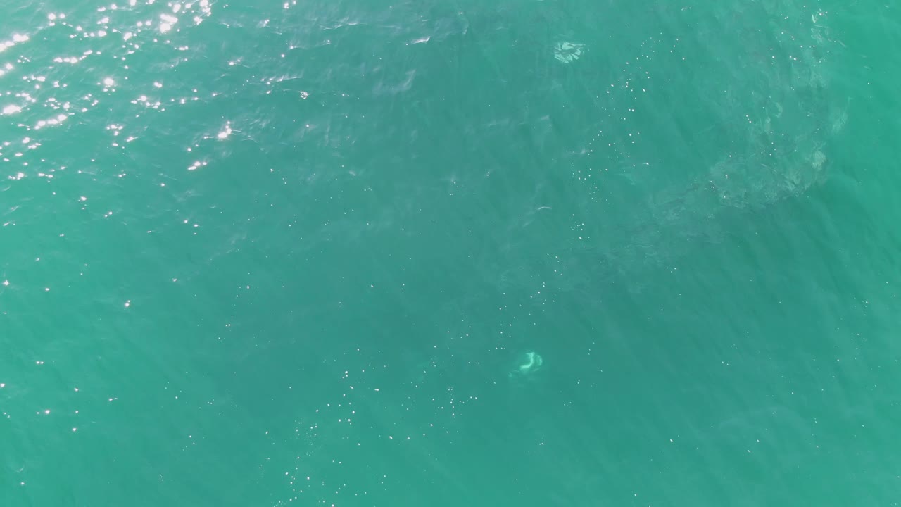 Turquoise ocean surface at Buzzards Beach, Baja California Sur, with bright ripples, subtle underwater variation, a faint small pale shape near the lower left, and no visible people.