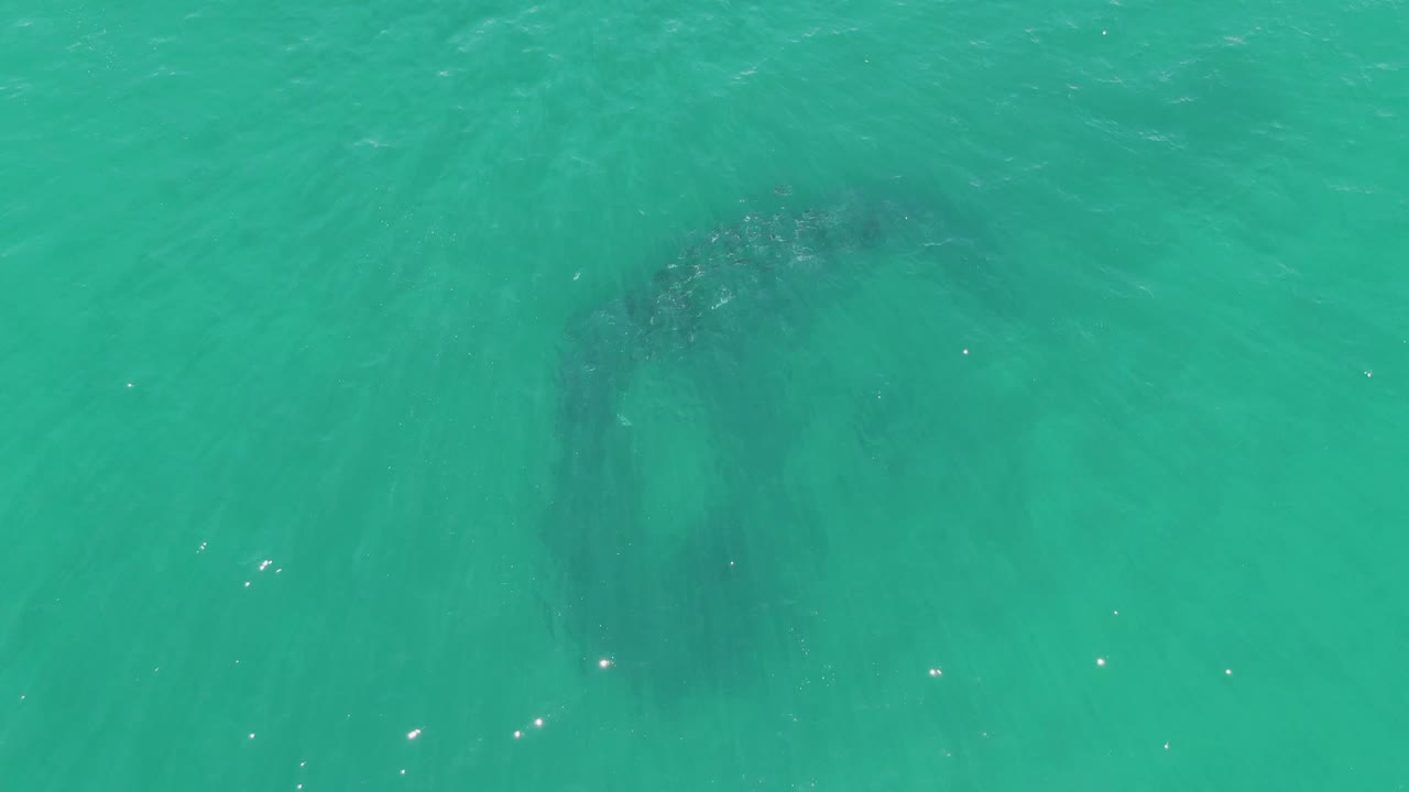 Top-down view of turquoise water at Buzzards Beach in Baja California Sur, with a dark submerged reef patch near the left side and no visible people.