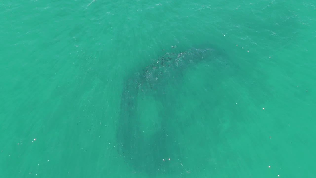 Clear turquoise ocean with submerged reef beneath ripples