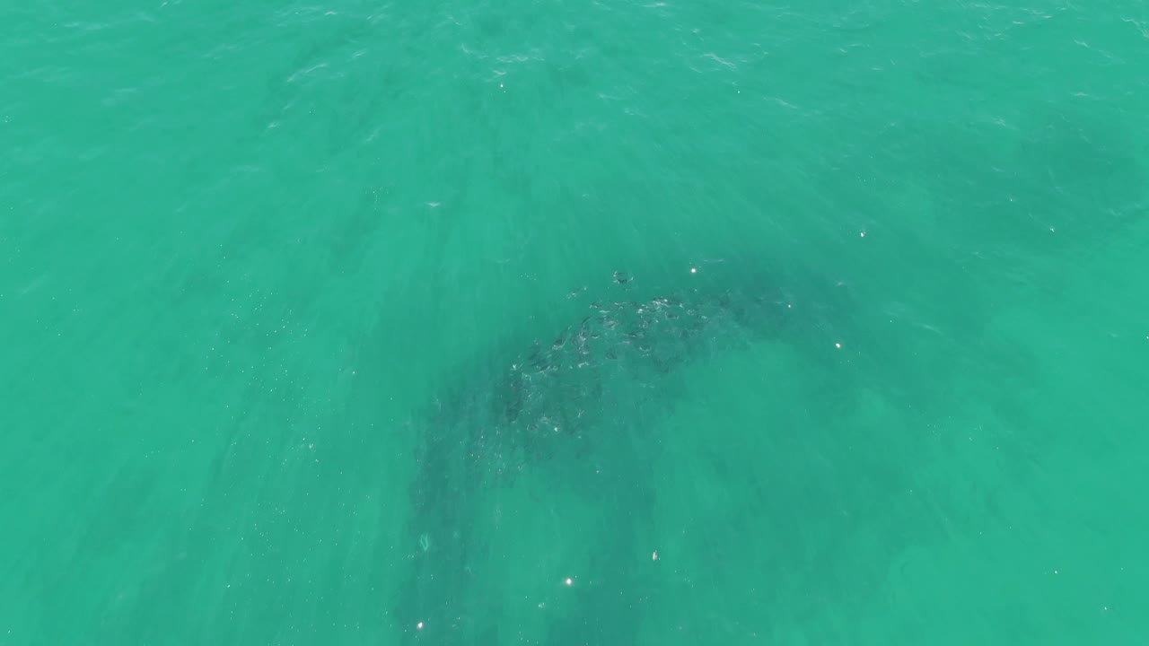 Top-down turquoise water in Baja California Sur, with a dark submerged reef area toward the upper right and small light flecks on the surface, with no visible people.