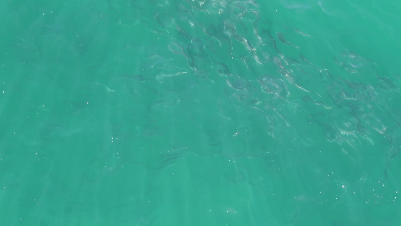 Clear turquoise water at Buzzards Beach, Baja California Sur, with a denser group of small fish visible below bright rippled reflections and no visible people.