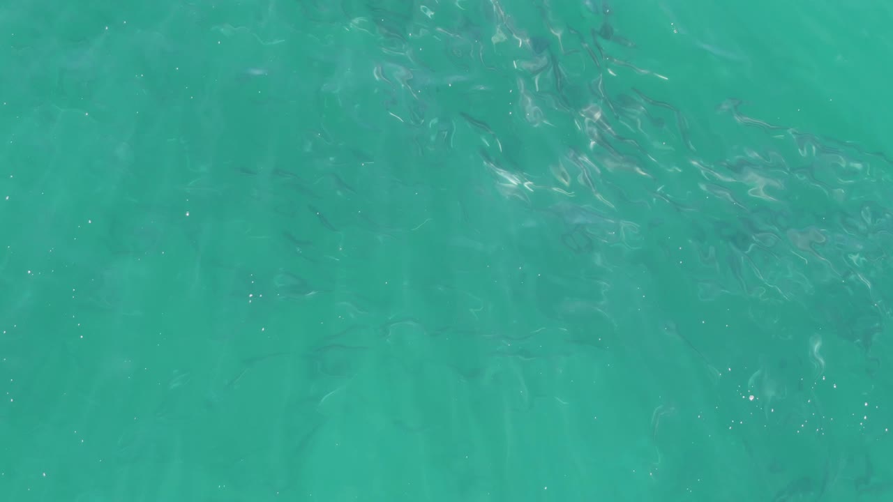 Small fish appear scattered beneath smoother turquoise ocean water at Buzzards Beach, Baja California Sur, with soft light patterns and no visible people.
