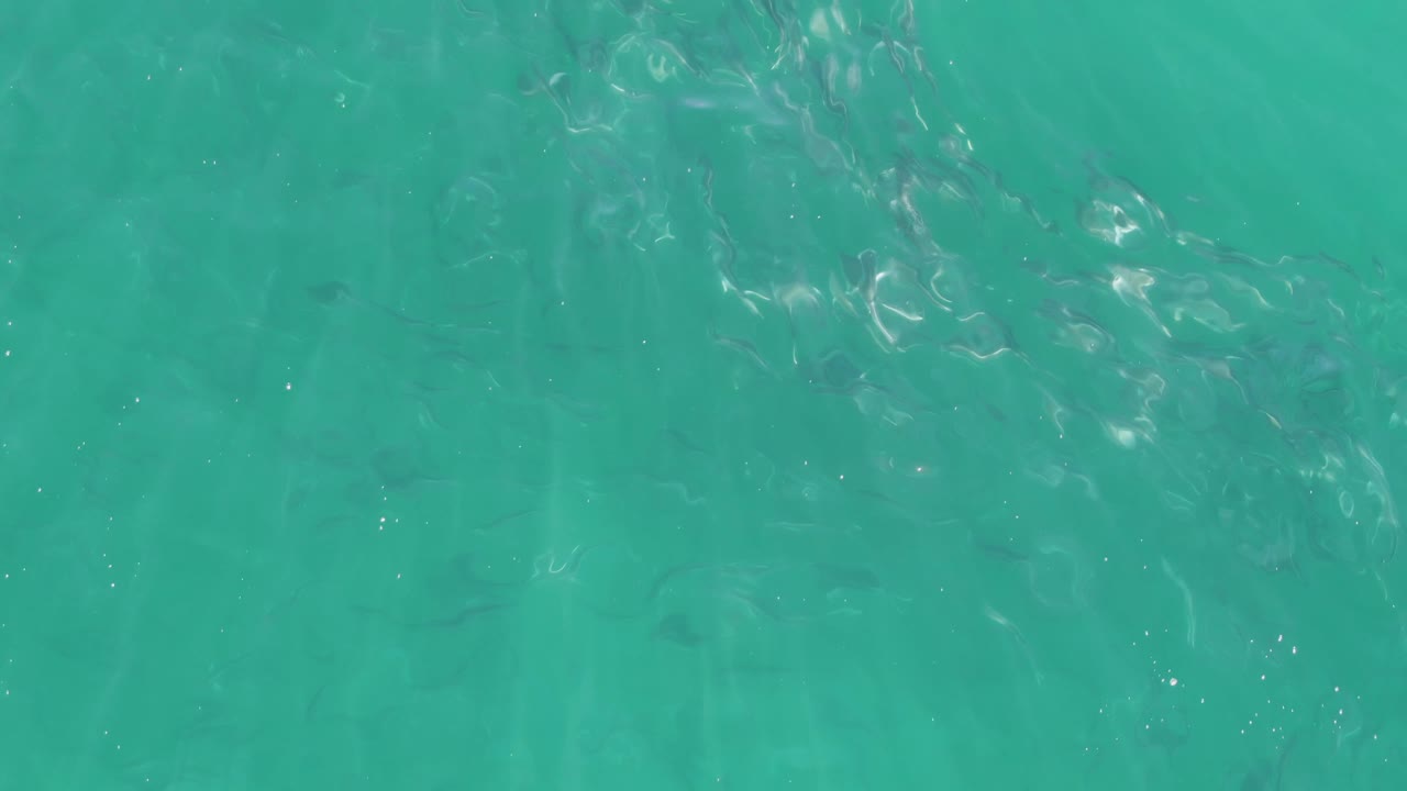 Overhead turquoise water at Buzzards Beach, Baja California Sur, with small fish under stronger rippled highlights and no visible people.