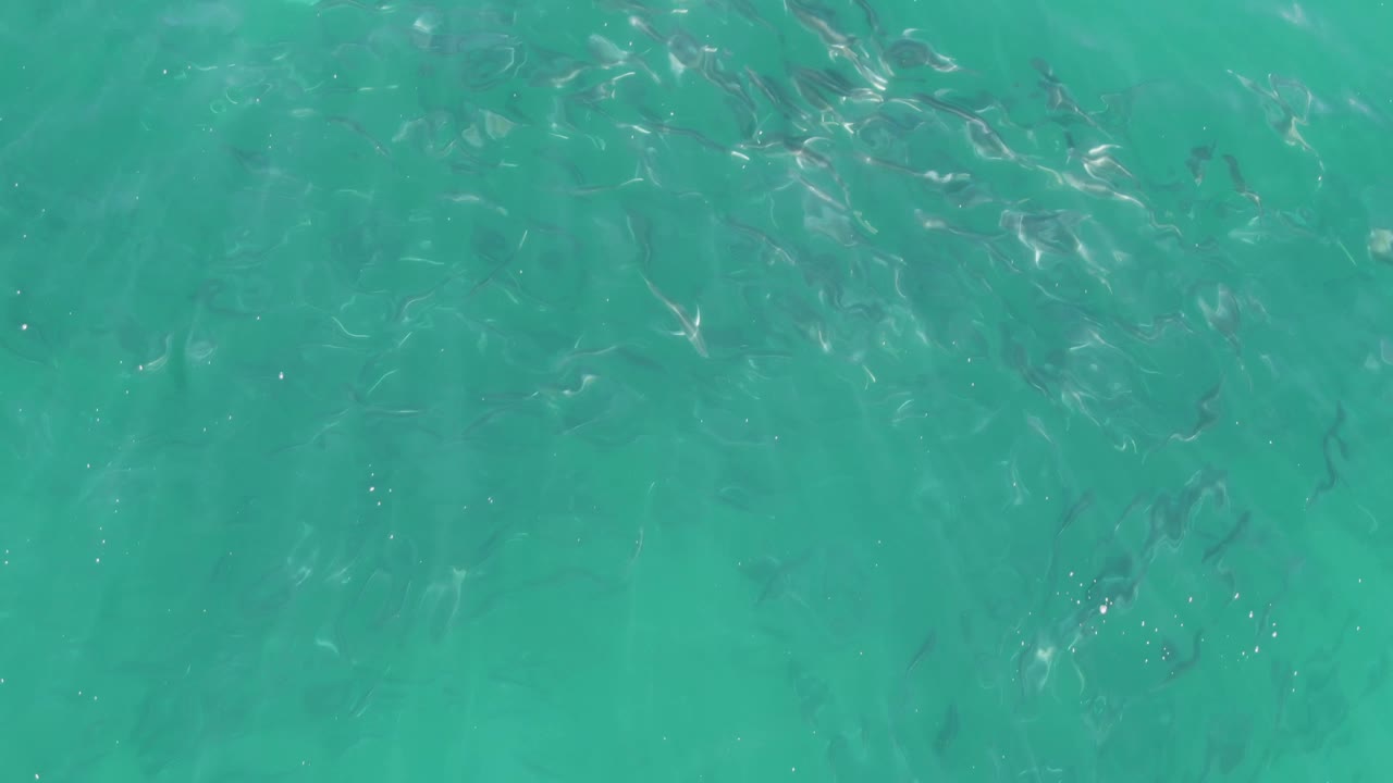 Small dark fish are scattered below rippled turquoise water at Buzzards Beach, Baja California Sur, with bright surface highlights and no visible people.