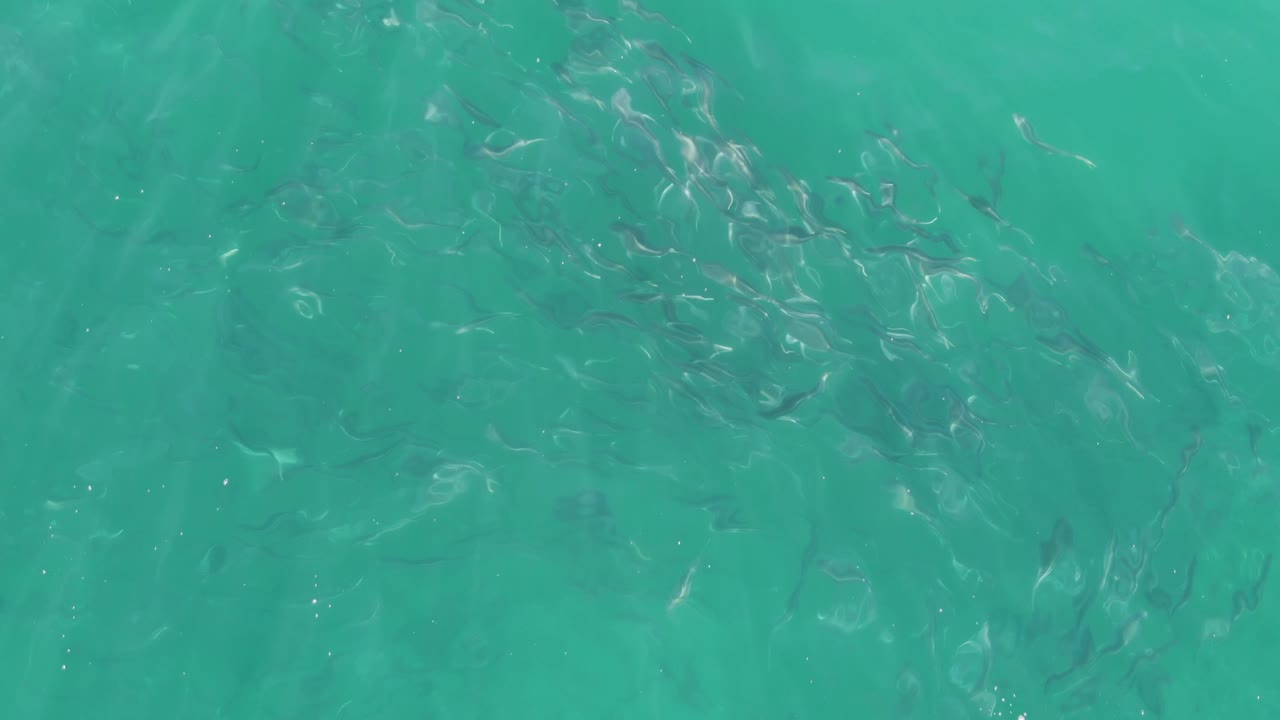 Scattered small fish sit below shallow turquoise water in Buzzards Beach, Baja California Sur, with stronger bright ripples near the center and no visible people.