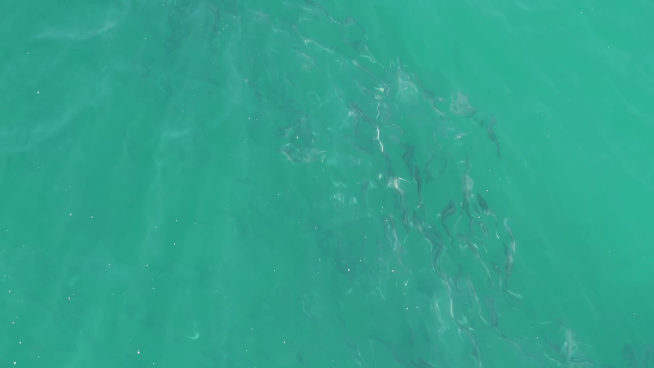 Clear shallow water at Buzzards Beach, Baja California Sur, holds a faint fish group along the left side while open turquoise water fills the rest of the frame, with no visible people.