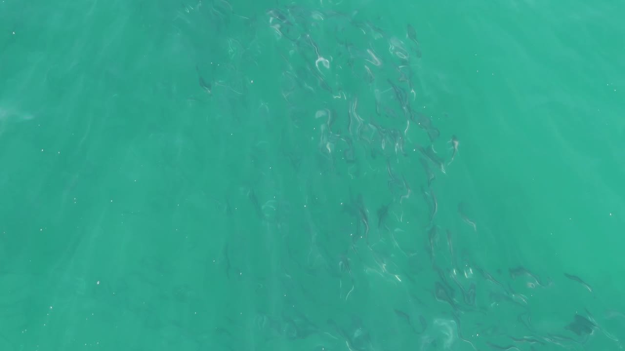 Top-down view of clear turquoise water at Buzzards Beach, Baja California Sur, with small fish faintly visible beneath ripples and no visible people.