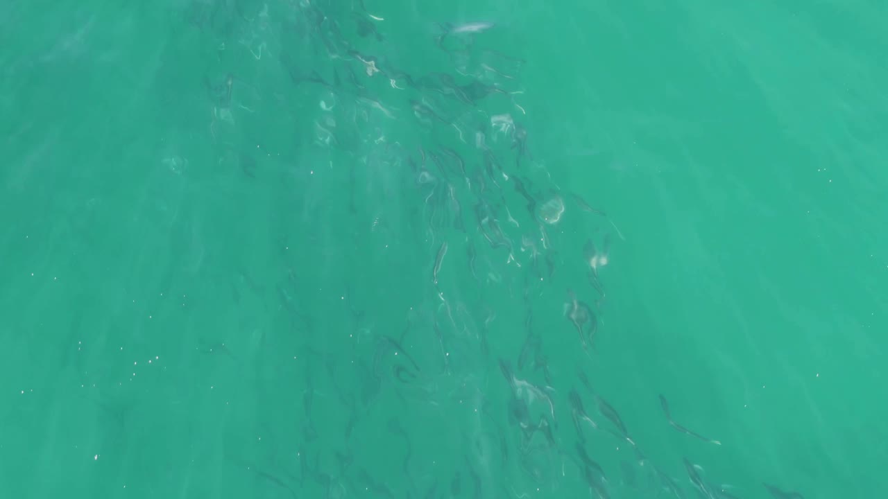 Fish shapes visible through clear rippled water.