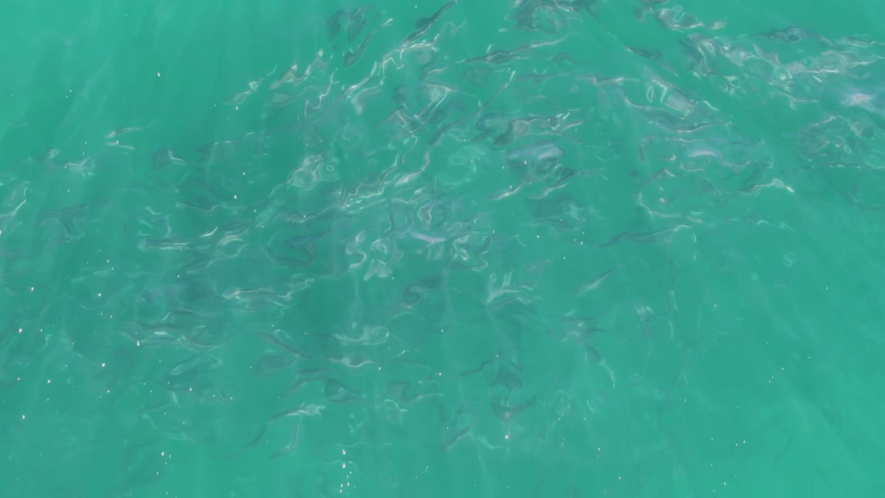 A denser patch of schooling fish appears beneath shallow turquoise sea water at Buzzards Beach, Baja California Sur, with no visible people.