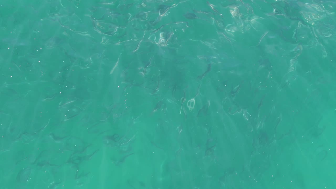 At Buzzards Beach in Baja California Sur, clear turquoise water fills the frame with scattered small fish beneath the rippled surface and no visible people.