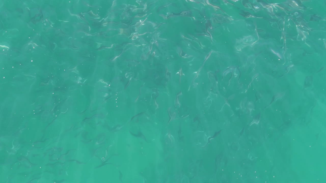 One second in, the frame shows small fish dispersed under clear turquoise water at Buzzards Beach, with soft ripples and no visible people.
