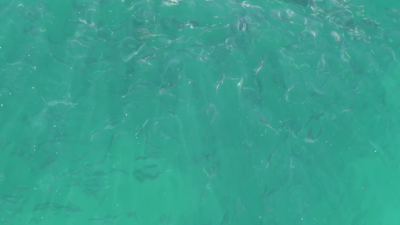 At 0:02, faint fish shapes remain visible below the turquoise surface in Buzzards Beach water, with brighter highlights across the upper area and no visible people.