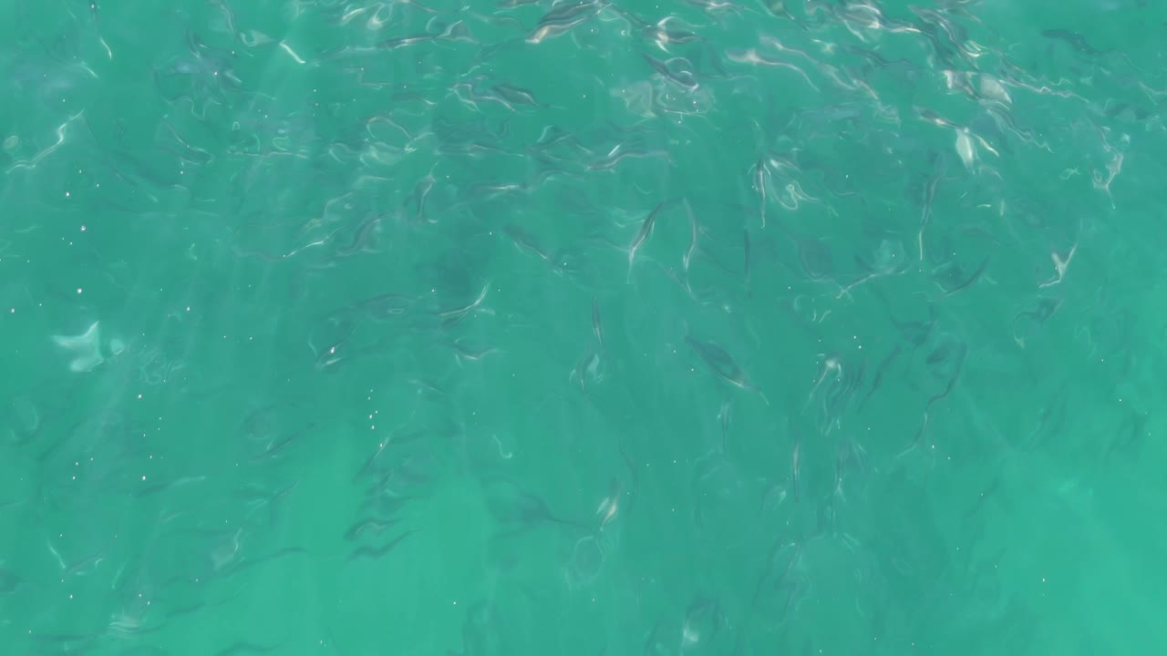 Clear green-blue ocean water with a school of small fish.