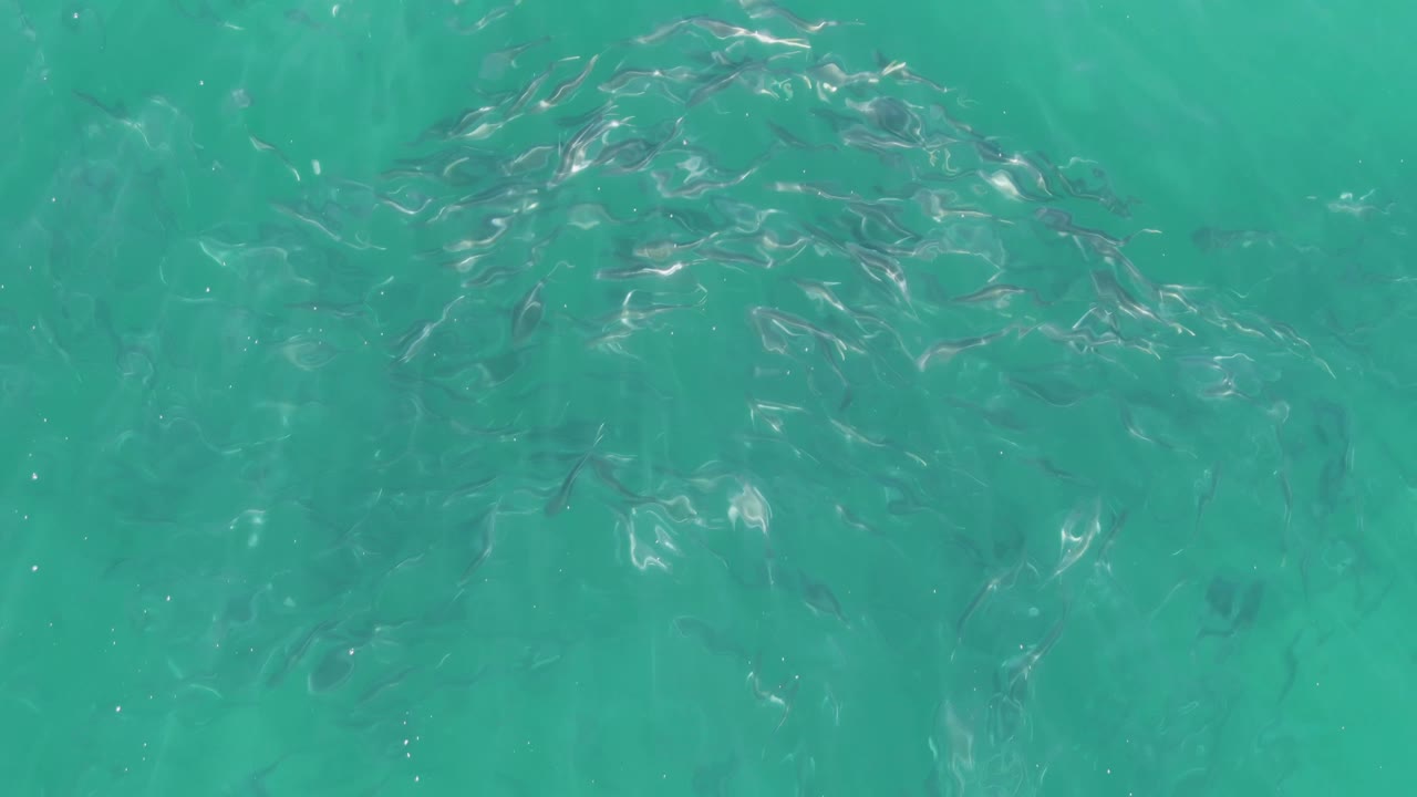 At Buzzards Beach in Baja California Sur, small fish cluster under clear turquoise water near the upper left of the frame, with no visible people.