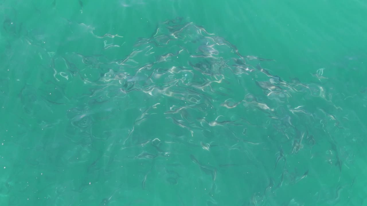 At Buzzards Beach in Baja California Sur, a denser group of small fish sits toward the upper right under the rippled turquoise surface, with no visible people.