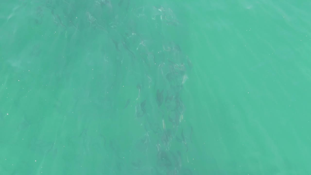 Clear green-blue water at Buzzards Beach, Baja California Sur, shows subtle surface ripple lines and darker underwater marks through the center, with no visible people.