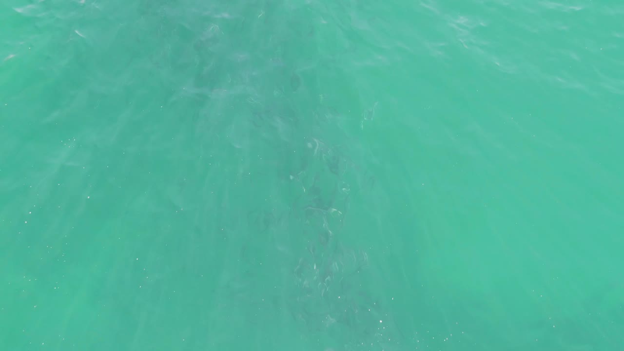 Overhead turquoise water at Buzzards Beach, Baja California Sur, with soft ripples and faint darker streaks below the surface, no visible people.