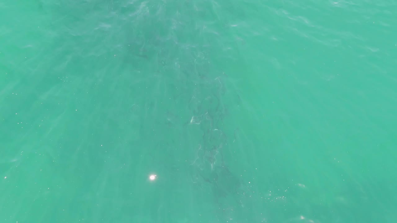 Turquoise water surface at Buzzards Beach, Baja California Sur, with a small light glint near the center and muted darker shapes beneath, no visible people.