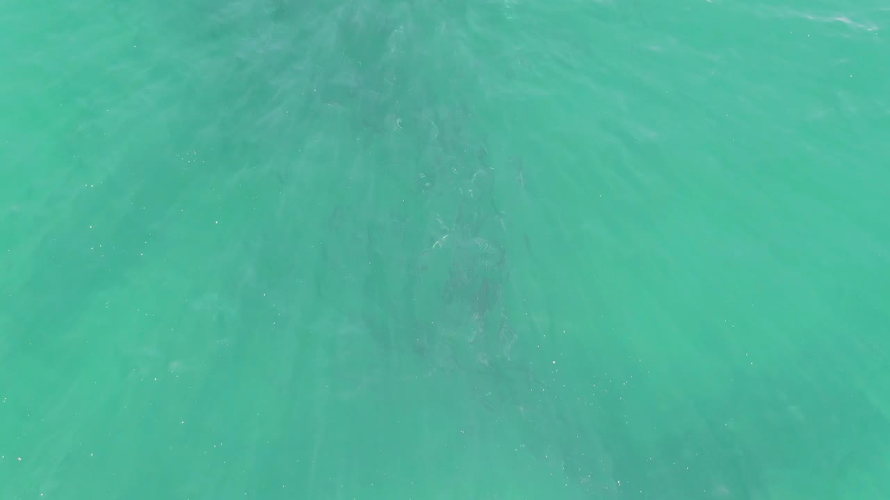Overhead teal water at Buzzards Beach, Baja California Sur, where ripples soften across the frame and darker underwater bands sit near the upper area, no visible people.