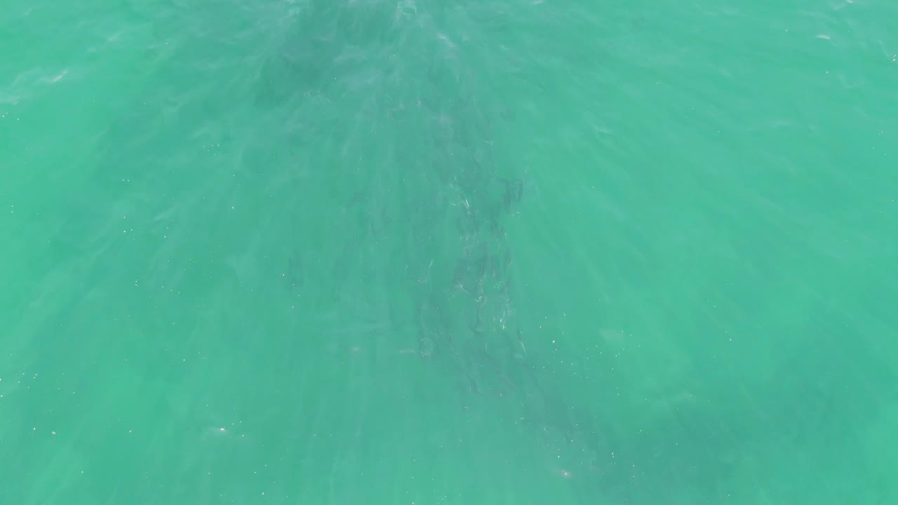 Turquoise water filling the frame with darker streaking and light surface texture.