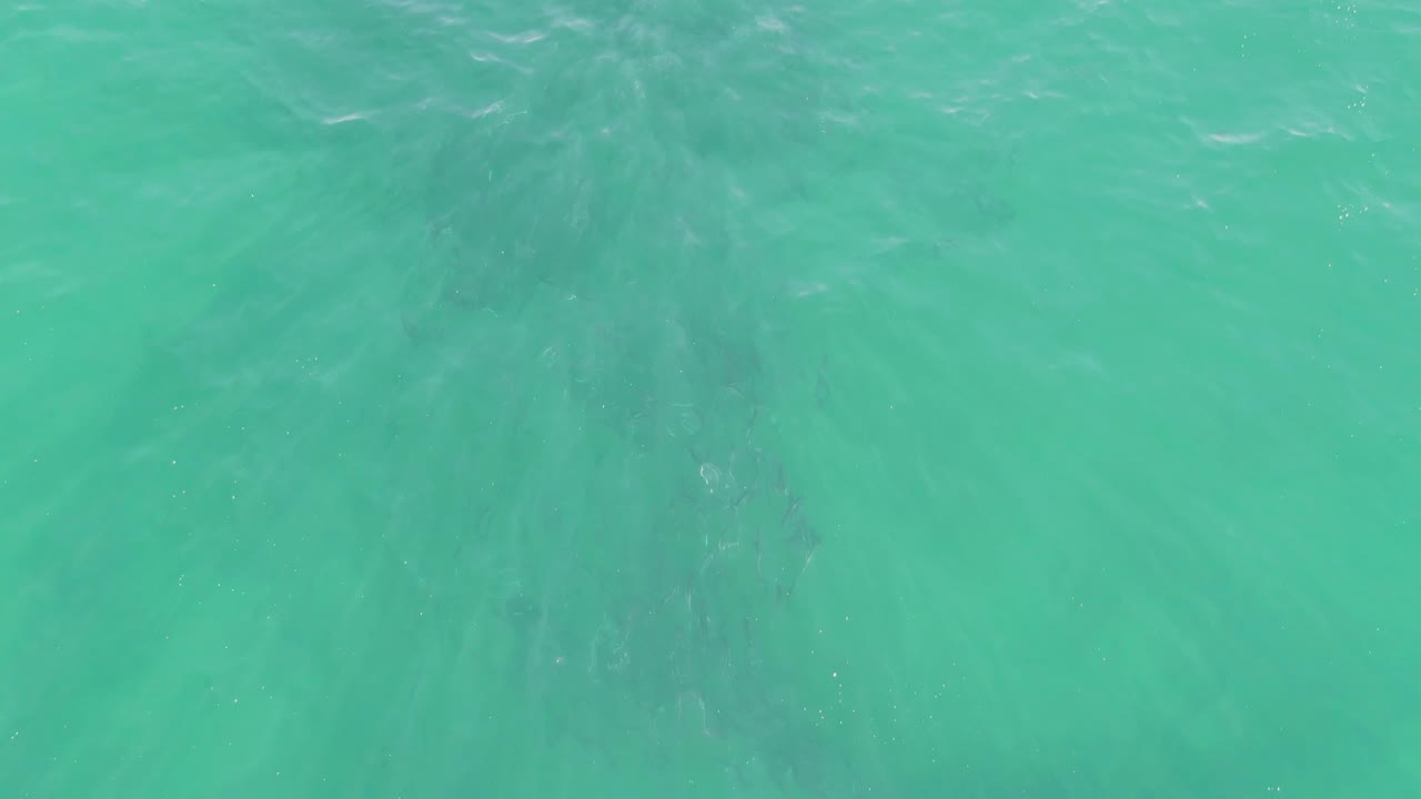 Clear turquoise water at Buzzards Beach in Baja California Sur fills the frame with faint seabed color below and no visible people.