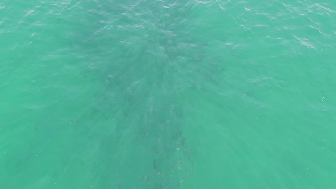 Turquoise ocean at Buzzards Beach fills the frame as small light streaks skim across the ripples and no people or objects appear.