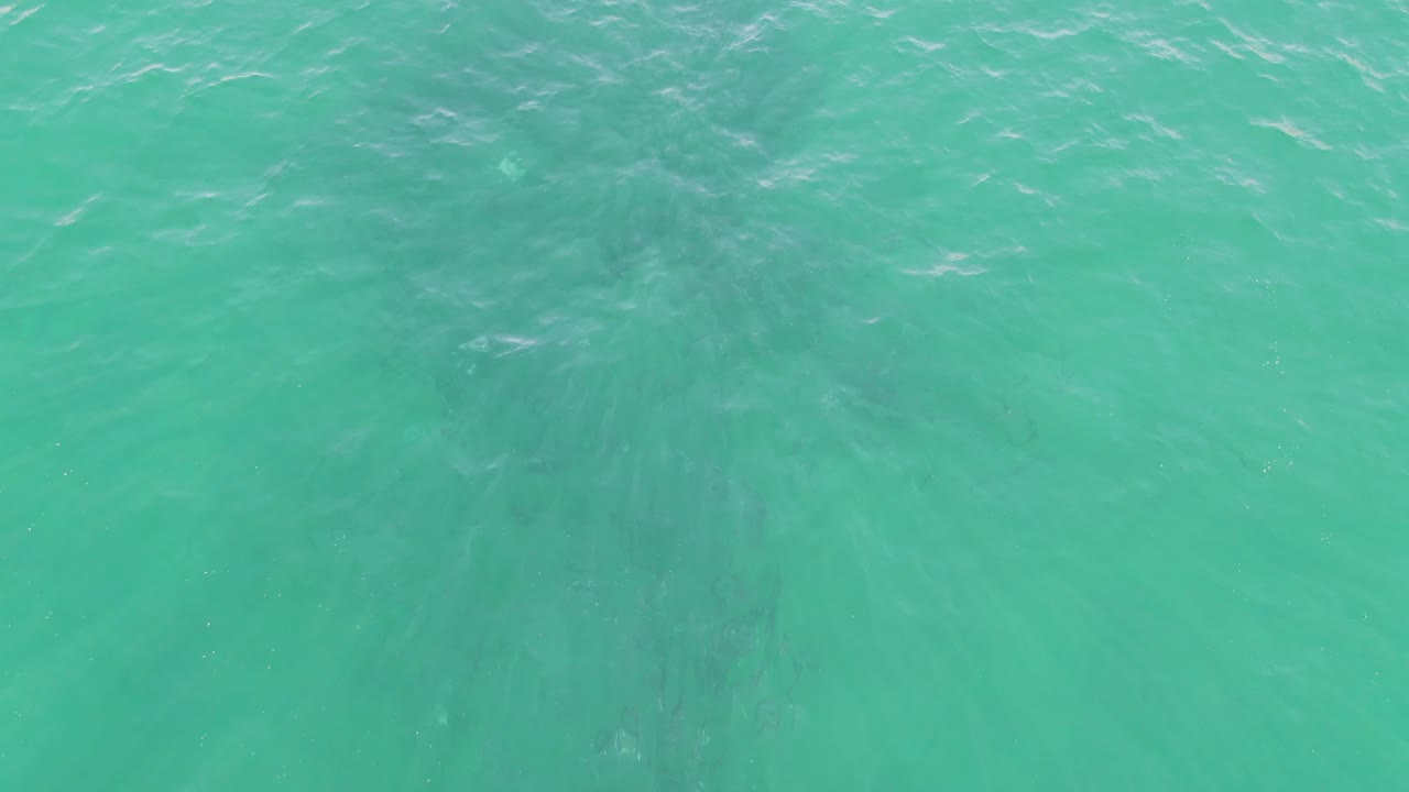 Shallow turquoise water at Buzzards Beach shows soft wave texture across the surface, faint seabed detail, and no visible people.