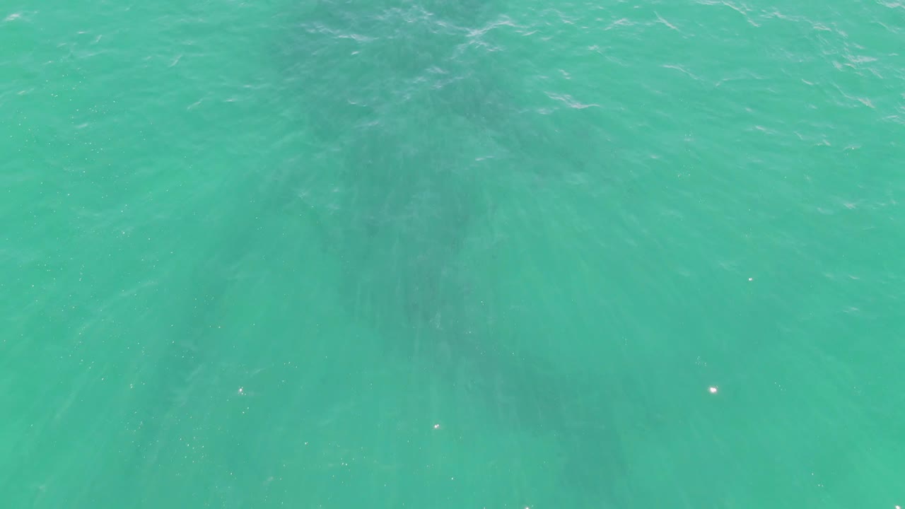 Overhead turquoise water at Buzzards Beach, Baja California Sur, with a dark whale shadow below the surface and no visible people.
