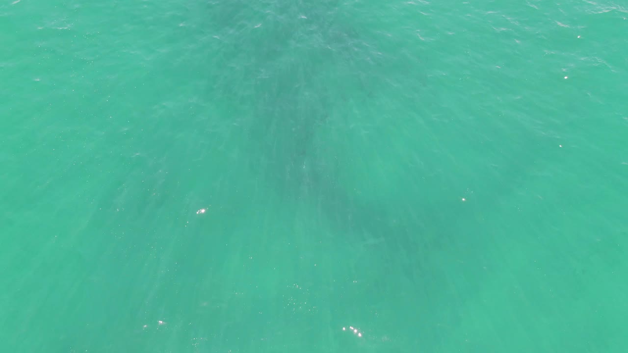 Turquoise ocean at Buzzards Beach with the submerged whale shadow visible through ripples and scattered sun glints, with no visible people.