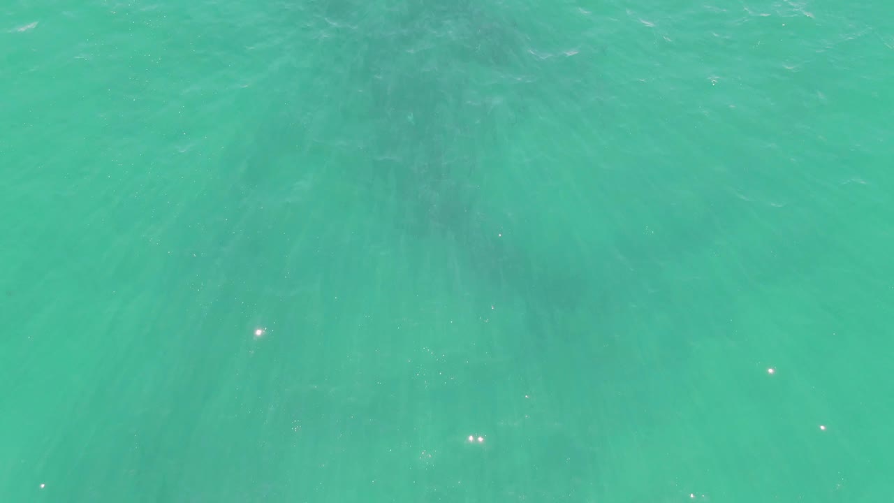 Overhead view of Buzzards Beach water with the broad underwater shadow centered beneath a smooth turquoise surface and no visible people.
