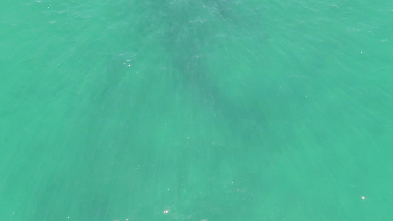 Turquoise ocean with a darker submerged form under the surface.