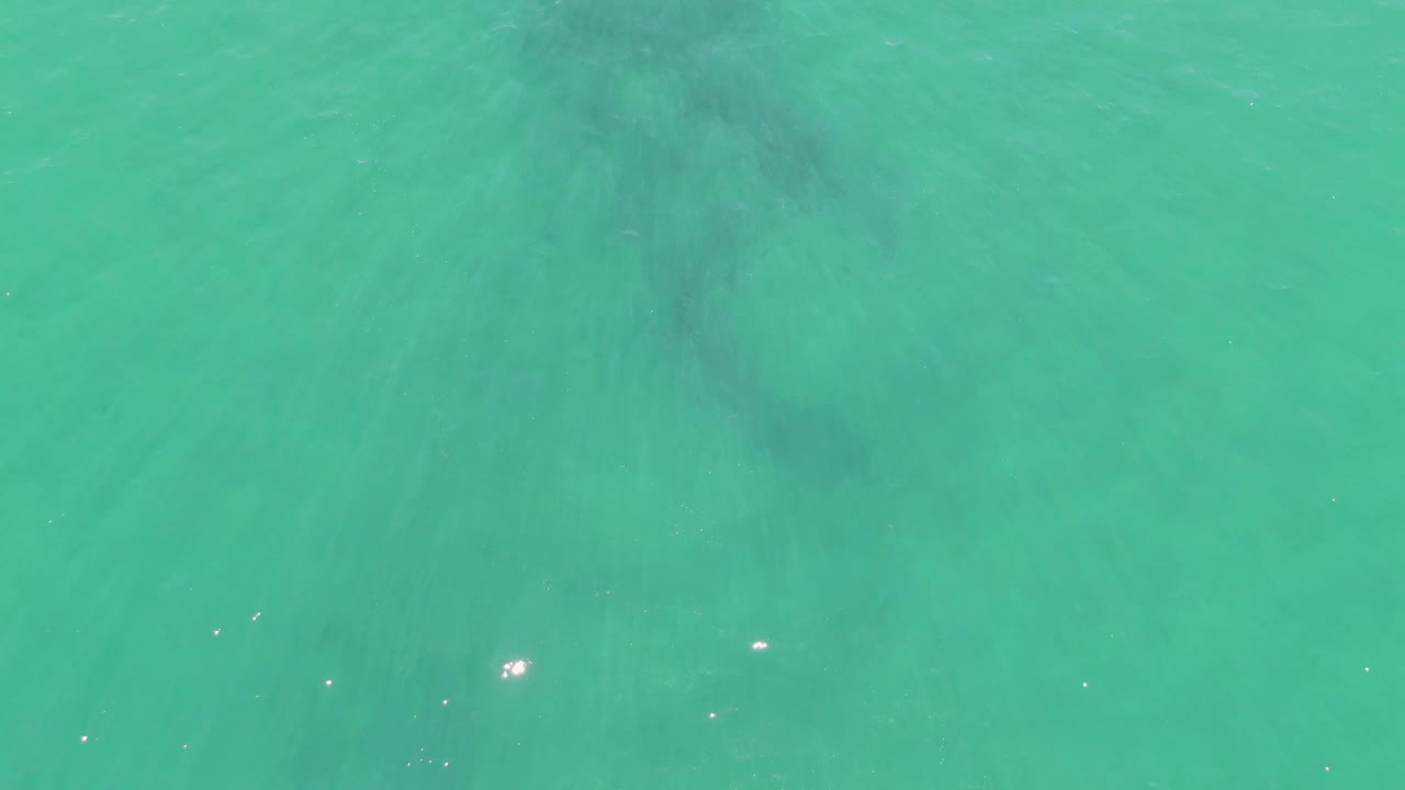 Overhead view at Buzzards Beach, Baja California Sur, showing a dark submerged anchor form under turquoise water with small surface glints and no visible people.