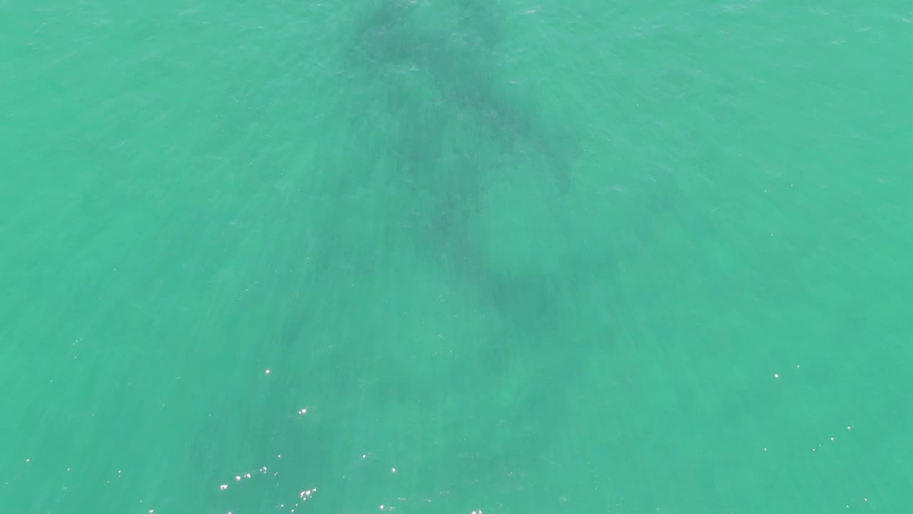 One second into the clip, the submerged anchor silhouette sits under rippling turquoise water at Buzzards Beach, with scattered sunlight reflections and no visible people.