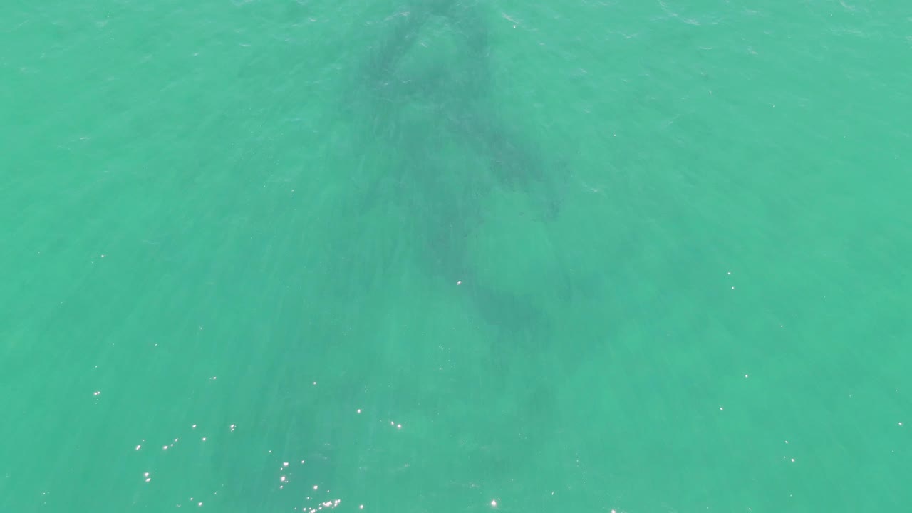 At 0:02, the overhead view shows the anchor form softened by the turquoise water, with brighter surface sparkle on the right and no visible people.