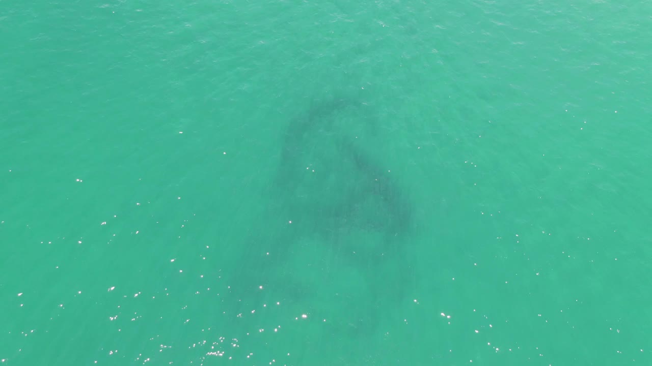 At 0:01, the submerged manatee appears slightly farther across the turquoise water, with brighter ripples gathering along the lower left and no visible people.
