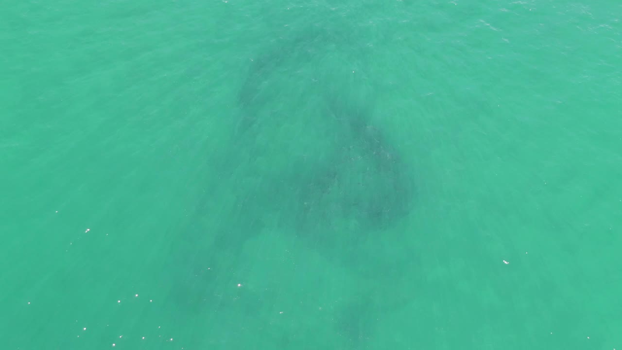 The manatee appears farther across the turquoise water column, with soft wake-like texture and small surface reflections, and no visible people.