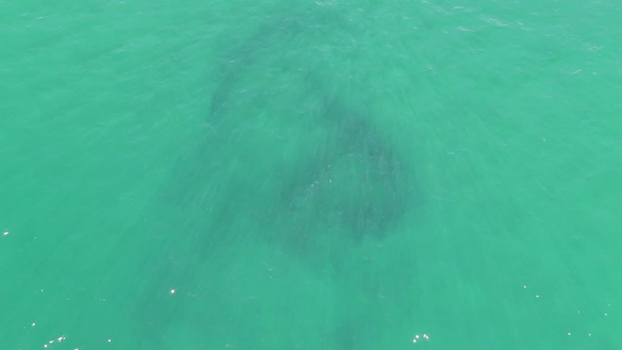 The manatee remains visible beneath rippled turquoise water, slightly lower in the frame than earlier moments, with scattered white reflections and no visible people.