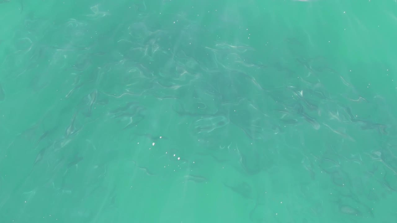 Small fish beneath clear turquoise water with soft surface ripples.