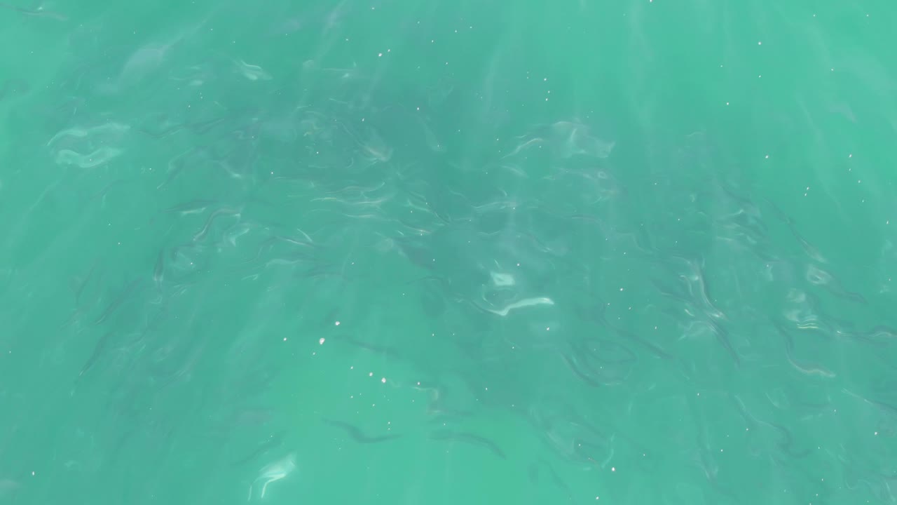 Scattered small fish sit below the turquoise ocean surface at Buzzards Beach, Baja California Sur, while small bright reflections mark the water and no people are visible.